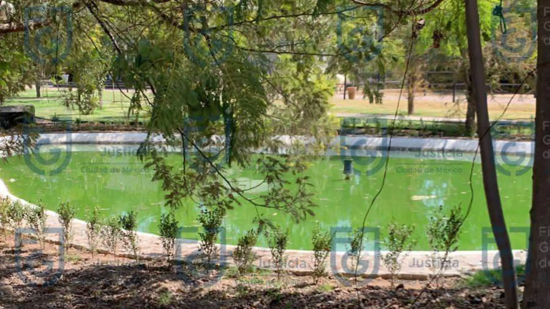 Aseguran rancho millonario propiedad de Felipe de Jesús “N”, ex titular de la SEDUVI